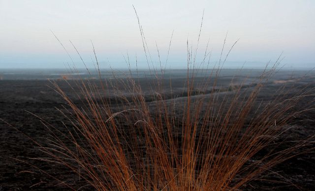 Neustadt am Rübenberge - Totes Moor Neustadt am Rübenberge - Totes Moor
