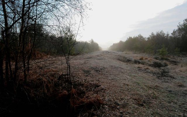 Neustadt am Rübenberge - Totes Moor Neustadt am Rübenberge - Totes Moor