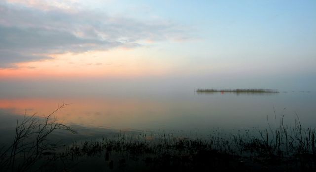 Steinhuder Meer Nordufer, bevor die Sonne aufgeht - Frühnebel am Mardorfer Uferweg