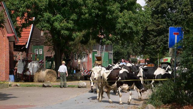 Schlüsselburg an der Weser - Dorfleben in Schlüsselburg Schlüsselburg an der Weser - Dorfleben in Schlüsselburg
