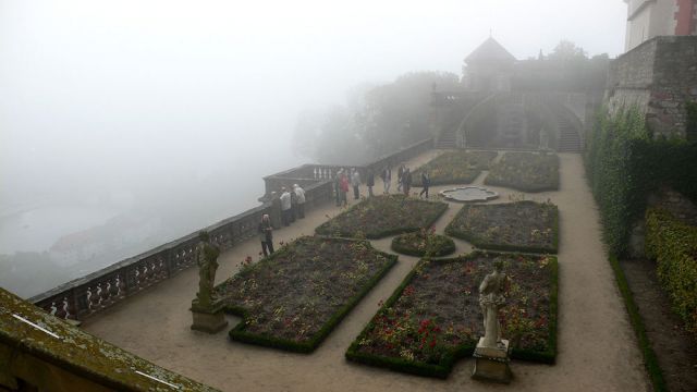 Gärten der Festung Marienberg im Morgennebel, Würzburg Gärten der Festung Marienberg im Morgennebel, Würzburg