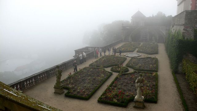 Gärten der Festung Marienberg im Morgennebel, Würzburg