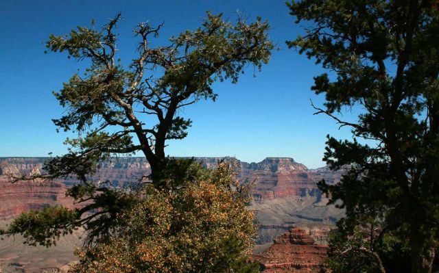 Grand Canyon South Rim - Ausblicke vom Rim Trail zwischen YavapaI Point und Mather Point zum North Rim Grand Canyon South Rim - Ausblicke vom Rim Trail zwischen YavapaI Point und Mather Point zum North Rim