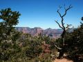 Grand Canyon South Rim - Ausblicke vom Rim Trail zwischen YavapaI Point und Mather Point zum North Rim
