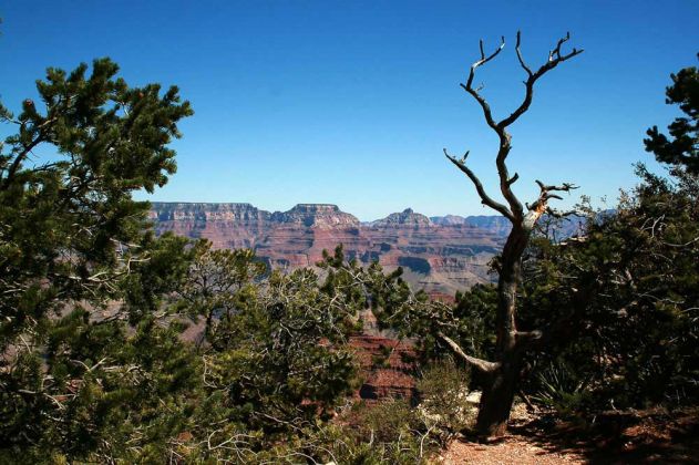 Grand Canyon South Rim - Ausblicke vom Rim Trail zwischen YavapaI Point und Mather Point zum North Rim Grand Canyon South Rim - Ausblicke vom Rim Trail zwischen YavapaI Point und Mather Point zum North Rim