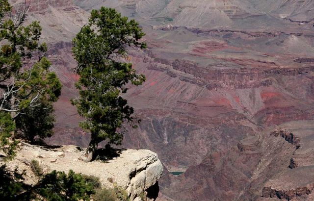 Grand Canyon South Rim - Ausblicke vom Rim Trail zwischen YavapaI Point und Mather Point zum North Rim Grand Canyon South Rim - Ausblicke vom Rim Trail zwischen YavapaI Point und Mather Point zum North Rim