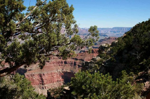 Grand Canyon South Rim - Ausblick vom Rim Trail zwischen YavapaI Point und Mather Point zum North Rim Grand Canyon South Rim - Ausblick vom Rim Trail zwischen YavapaI Point und Mather Point zum North Rim