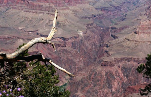 Grand Canyon National Park - Arizona Grand Canyon National Park - Arizona