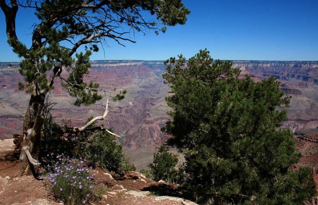 Grand Canyon South Rim - Ausblick vom Rim Trail zwischen YavapaI Point und Mather Point zum North Rim Grand Canyon South Rim - Ausblick vom Rim Trail zwischen YavapaI Point und Mather Point zum North Rim