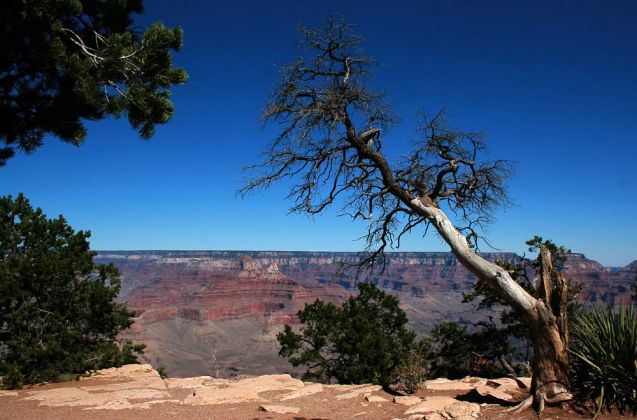 Grand Canyon South Rim - Ausblick vom Rim Trail zwischen YavapaI Point und Mather Point zum North Rim Grand Canyon South Rim - Ausblick vom Rim Trail zwischen YavapaI Point und Mather Point zum North Rim