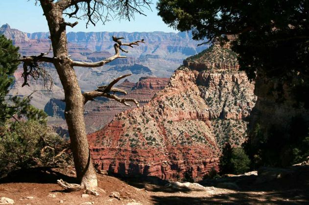 Grand Canyon South Rim - Ausblick vom Rim Trail zwischen YavapaI Point und Mather Point zum North Rim Grand Canyon South Rim - Ausblick vom Rim Trail zwischen YavapaI Point und Mather Point zum North Rim