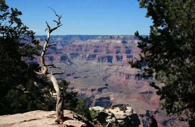 Grand Canyon South Rim Trail zwischen YavapaI Point und Mather Point Grand Canyon South Rim Trail zwischen YavapaI Point und Mather Point