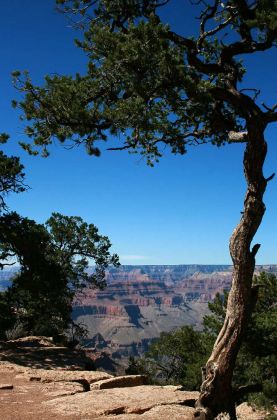 Grand Canyon South Rim Trail zwischen YavapaI Point und Mather Point Grand Canyon South Rim Trail zwischen YavapaI Point und Mather Point