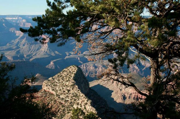 Grand Canyon South Rim Trail zwischen YavapaI Point und Mather Point Grand Canyon South Rim Trail zwischen YavapaI Point und Mather Point