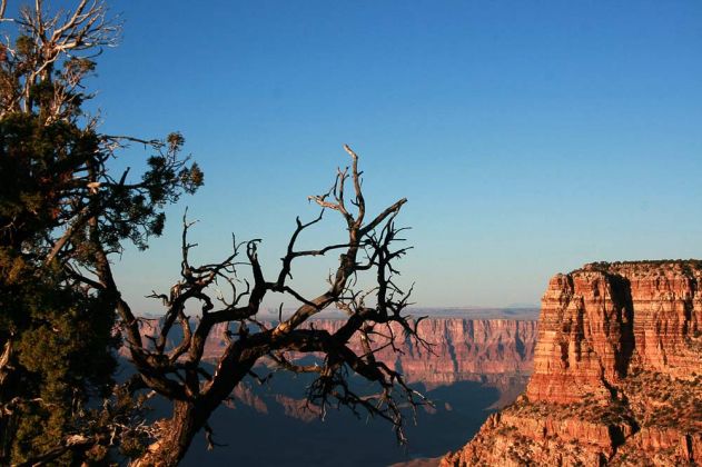 Grand Canyon South Rim Trail zwischen YavapaI Point und Mather Point Grand Canyon South Rim Trail zwischen YavapaI Point und Mather Point