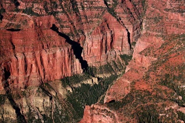 Grand Canyon Scenic Flight - ein Rundflug mit einer Twin Otter der Grand Canyon Airlines Grand Canyon Scenic Flight - ein Rundflug mit einer Twin Otter der Grand Canyon Airlines