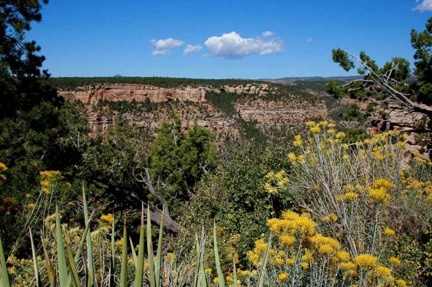 Mesa Verde National Park - Colorado Mesa Verde National Park - Colorado