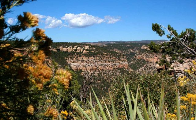 Navajo Canyon, Mesa Verde National Park - Colorado Navajo Canyon, Mesa Verde National Park - Colorado