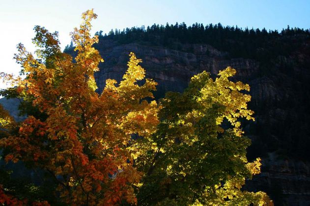 Indian Summer in Ouray am Million Dollar Highway, Colorado