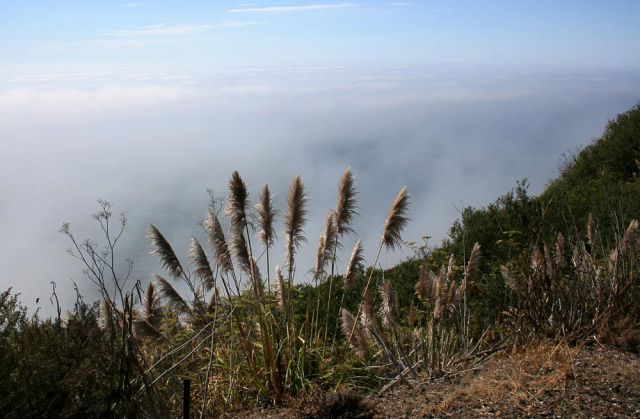 Big Sur am California Highway One - Pazifikküste Kalifornien, USA Big Sur am California Highway One - Pazifikküste Kalifornien, USA