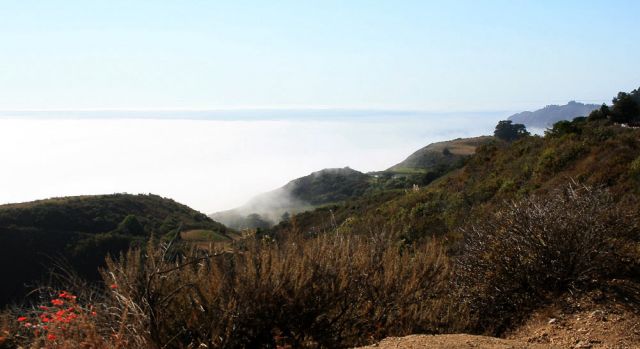 Big Sur am California Highway One - Pazifikküste Kalifornien, USA Big Sur am California Highway One - Pazifikküste Kalifornien, USA