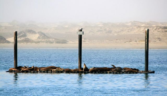 Morro Bay - California Highway One an Kaliforniens Pazifikküste Morro Bay - California Highway One an Kaliforniens Pazifikküste