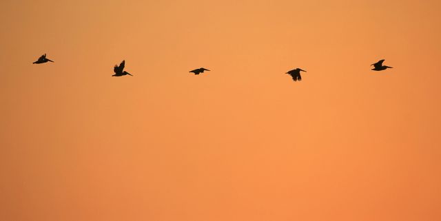 Morro Bay - California Highway One an Kaliforniens Pazifikküste Morro Bay - California Highway One an Kaliforniens Pazifikküste