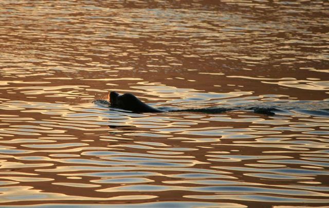 Morro Bay - California Highway One an Kaliforniens Pazifikküste Morro Bay - California Highway One an Kaliforniens Pazifikküste