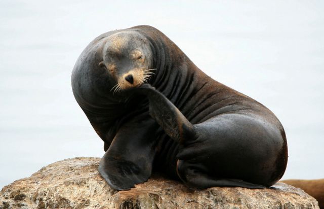 Monterey - California Highway One an Kaliforniens Pazifikküste Monterey - California Highway One an Kaliforniens Pazifikküste
