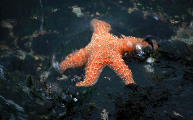 Monterey - California Highway One an Kaliforniens Pazifikküste Monterey - California Highway One an Kaliforniens Pazifikküste