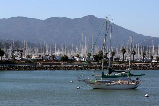 Sausalito Yacht Hafen, Sausalito - San Francisco Bay, Kalifornien Sausalito Yacht Hafen, Sausalito - San Francisco Bay, Kalifornien