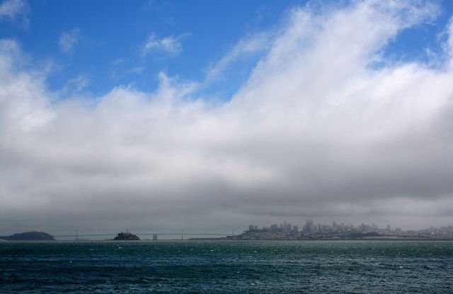 Blick auf San Francisco mit San Francisco Oakland Bay Bridge im Seenebel - vom Yee Tock Chee Park am Bridgeway, Sausalito