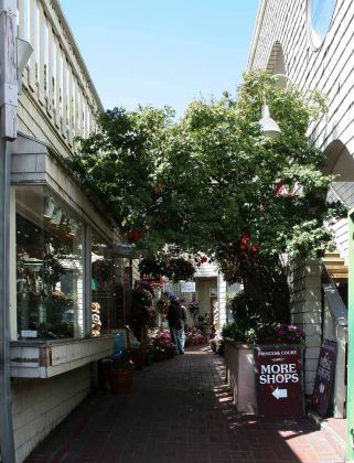 Princess Court, Sausalito - San Francisco Bay, Kalifornien Princess Court, Sausalito - San Francisco Bay, Kalifornien