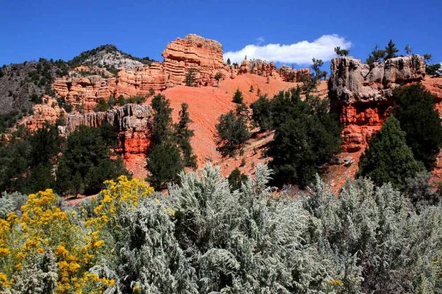 Red Canyon - Utah Scenic Byway Red Canyon - Utah Scenic Byway