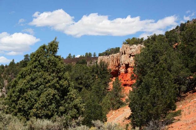 Red Canyon - Utah Scenic Byway Red Canyon - Utah Scenic Byway