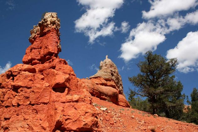 Red Canyon - Utah Scenic Byway Red Canyon - Utah Scenic Byway