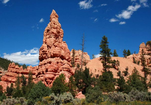 Red Canyon - Utah Scenic Byway Red Canyon - Utah Scenic Byway