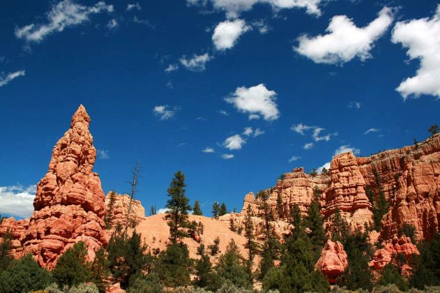 Red Canyon - Utah Scenic Byway Red Canyon - Utah Scenic Byway