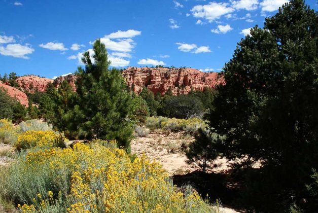 Red Canyon - Utah Scenic Byway Red Canyon - Utah Scenic Byway