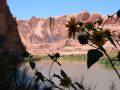Moab, Utah - Szenerie am kurvenreichen Colorado River, Utah Highway 128 
