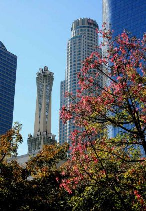 Bunker Hill - Downtown Los Angeles Bunker Hill - Downtown Los Angeles