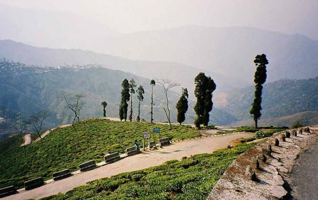 Darjeeling, Himalaya