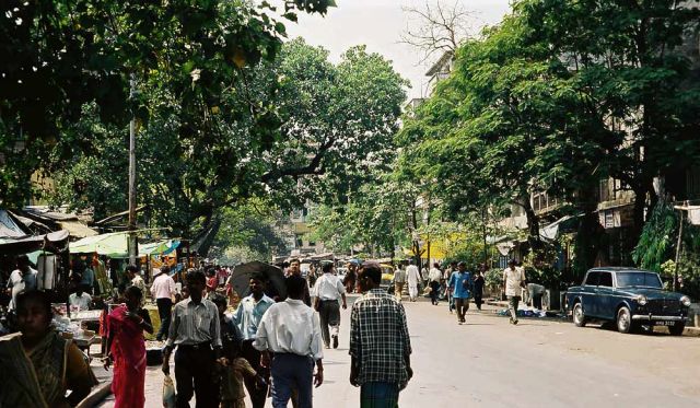 Kalkutta, Kolkata - Kali Temple Road