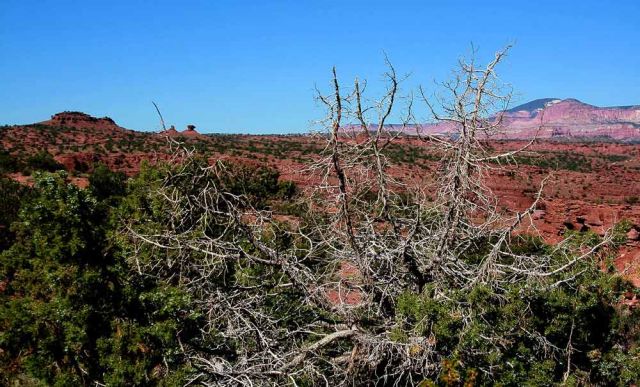 Capitol Reef National Park - Utah Capitol Reef National Park - Utah