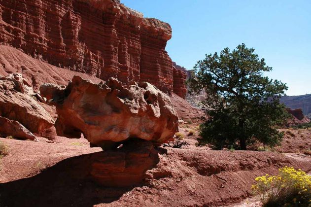 Capitol Gorge, Capitol Reef National Park - Utah Capitol Gorge, Capitol Reef National Park - Utah