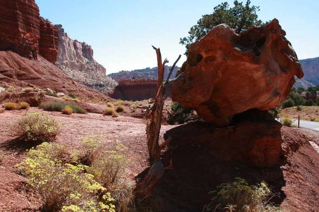 Capitol Gorge, Capitol Reef National Park - Utah Capitol Gorge, Capitol Reef National Park - Utah