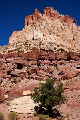 Capitol Gorge, Capitol Reef National Park - Utah Capitol Gorge, Capitol Reef National Park - Utah