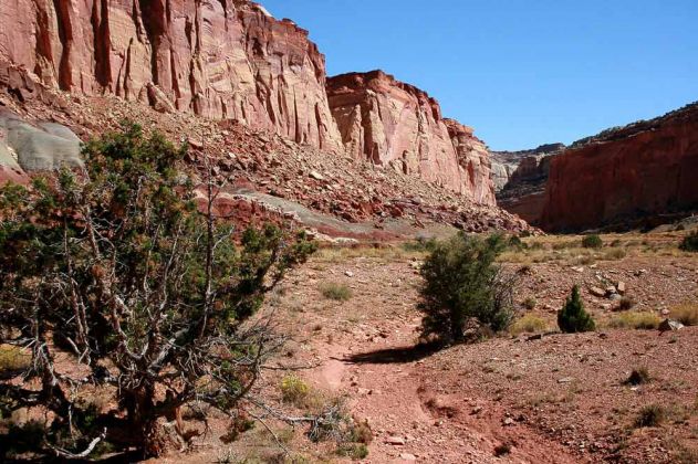 Capitol Gorge Road, Capitol Reef National Park - Utah Capitol Gorge Road, Capitol Reef National Park - Utah