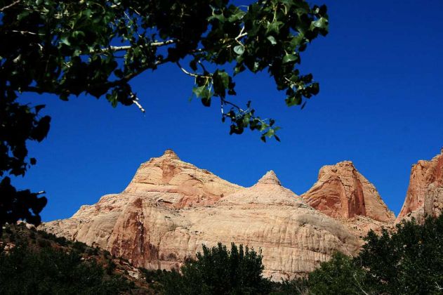 Capitol Reef National Park, Capitol Dome - Utah Capitol Reef National Park, Capitol Dome - Utah