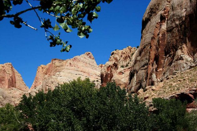 Capitol Reef National Park - Utah Capitol Reef National Park - Utah